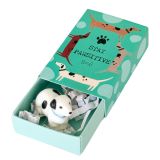 Pawsitive Dog Matchbox Memory Turquoise 