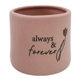 Always & Forever Vessel Pink 7cm 