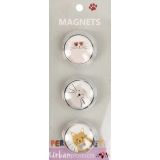 Perfect Pets Cats Magnets Colourful 3cm 
