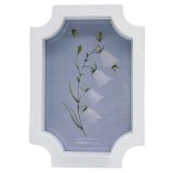 Berrima Frame White 4x6 