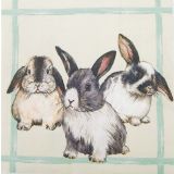 Bunny Napkins Brown 33x33cm S/20