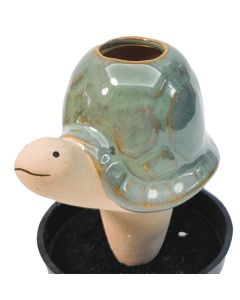 Sale Turtle Water Seeper Turquoise 9cm 