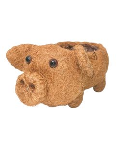 HUSK Pig Planter Brown 15cm 