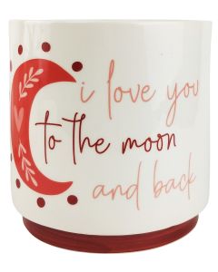 I Love You To The Moon  Back Planter Pi