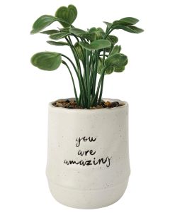 Positivity Quote You Are Amazing Potted 