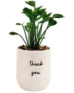 Sale Positivity Quote Thank You Potted P