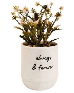 Sale Positivity Quote Always Forever Pot