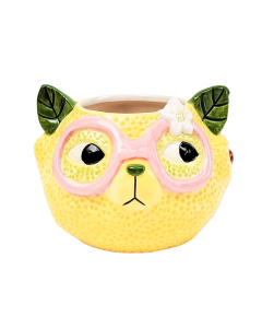 Tropicana Cat Lemon Planter Yellow 9cm 