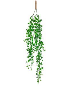 String of Hearts Plant Green 89cm 